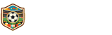 世界杯直播